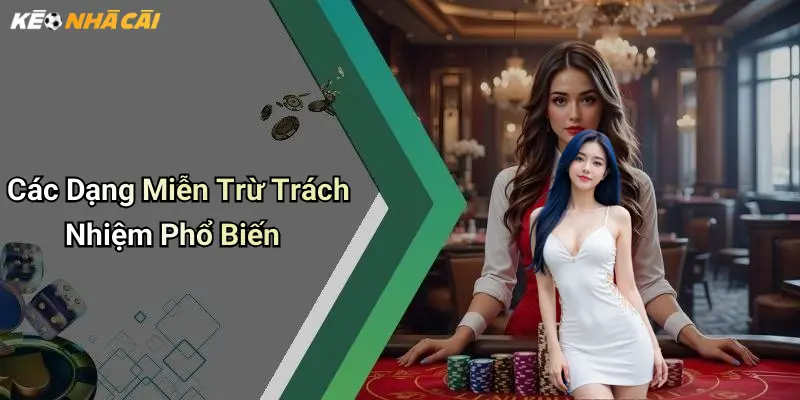 Các Dạng Miễn Trừ Trách Nhiệm Phổ Biến