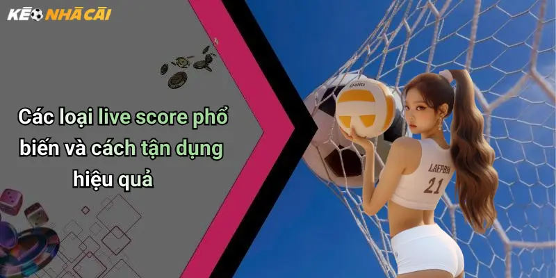 Các loại live score phổ biến và cách tận dụng hiệu quả